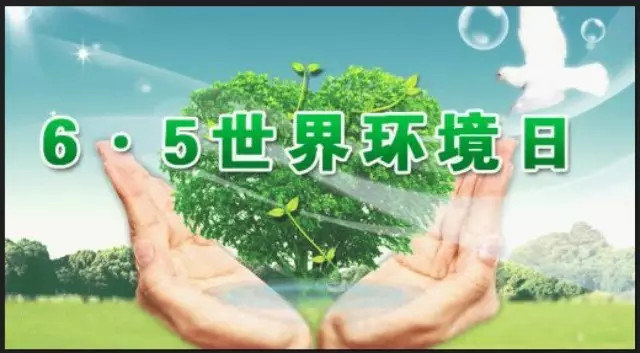 世界环境日 50条身体力行的低碳生活建议