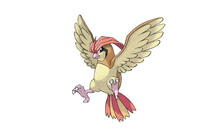 口袋妖怪复刻比比鸟怎么配招 比比鸟配招推荐