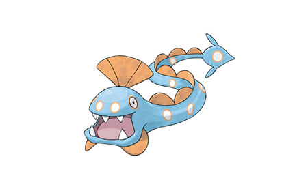 口袋妖怪复刻猎斑鱼什么性格好 猎斑鱼性格推荐