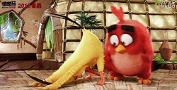 《愤怒的小鸟》大电影首曝可爱的小红鸟